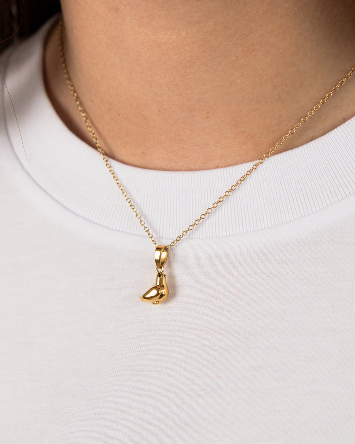 Pigeon Necklace