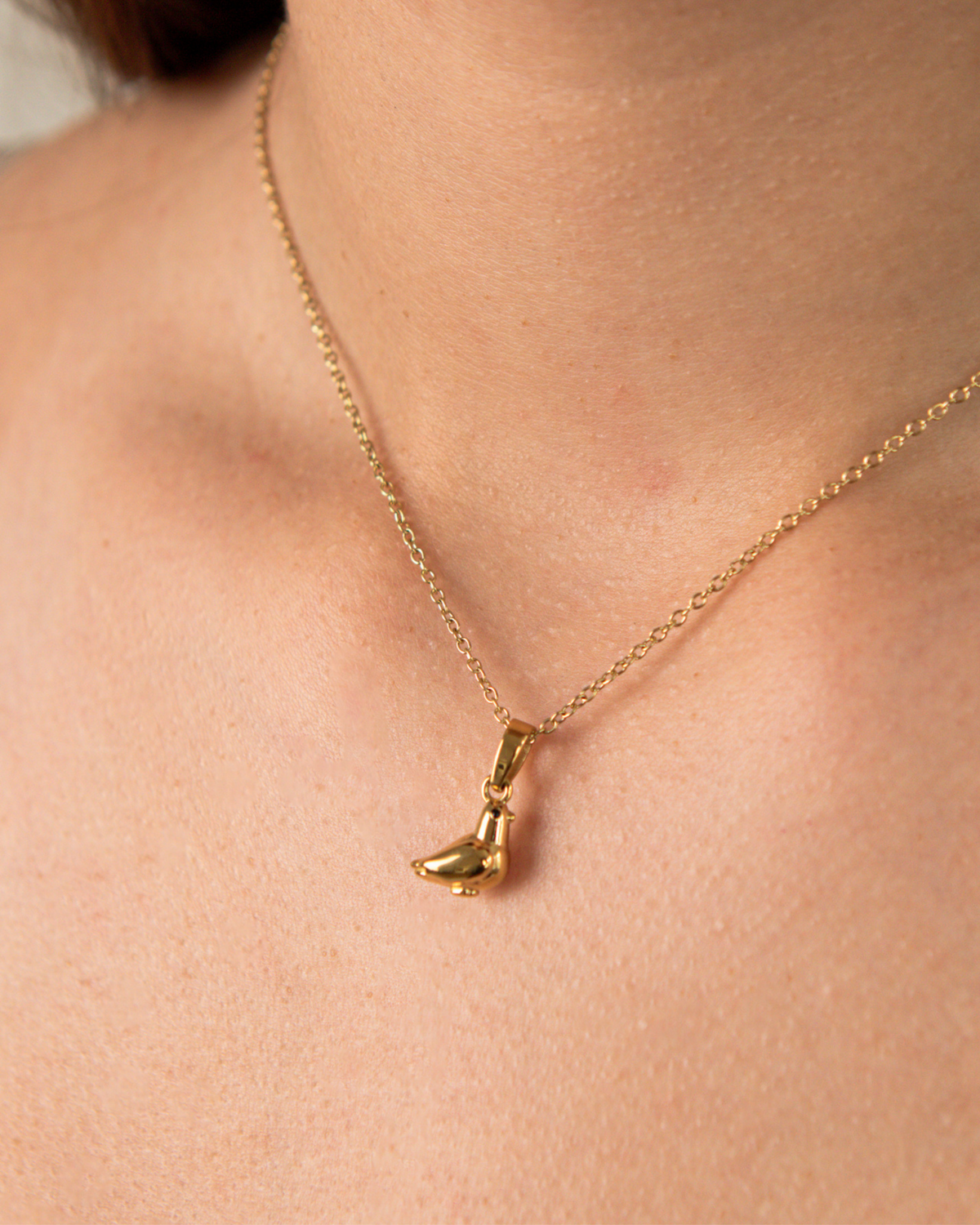 Pigeon Necklace