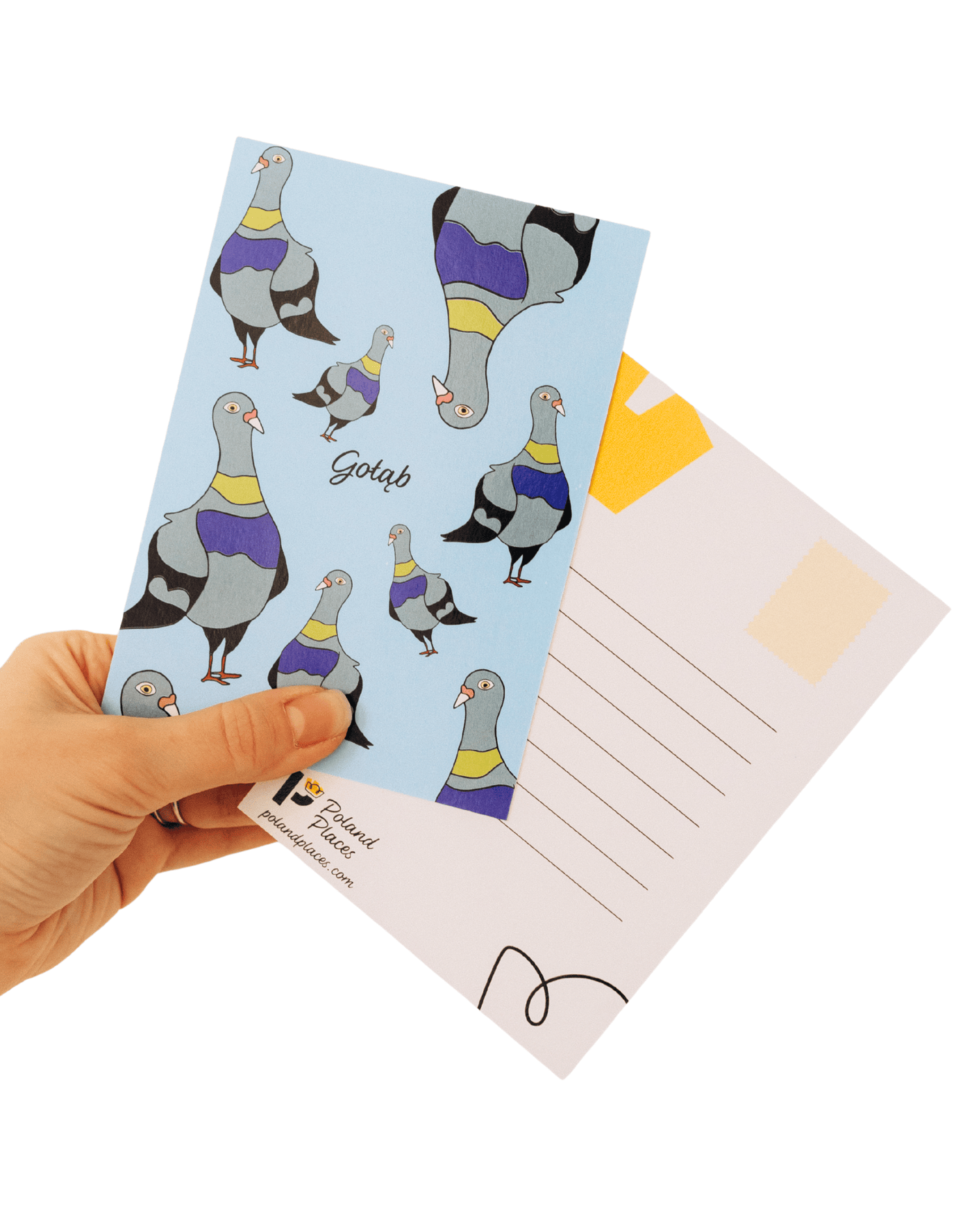 Pigeon Postcard