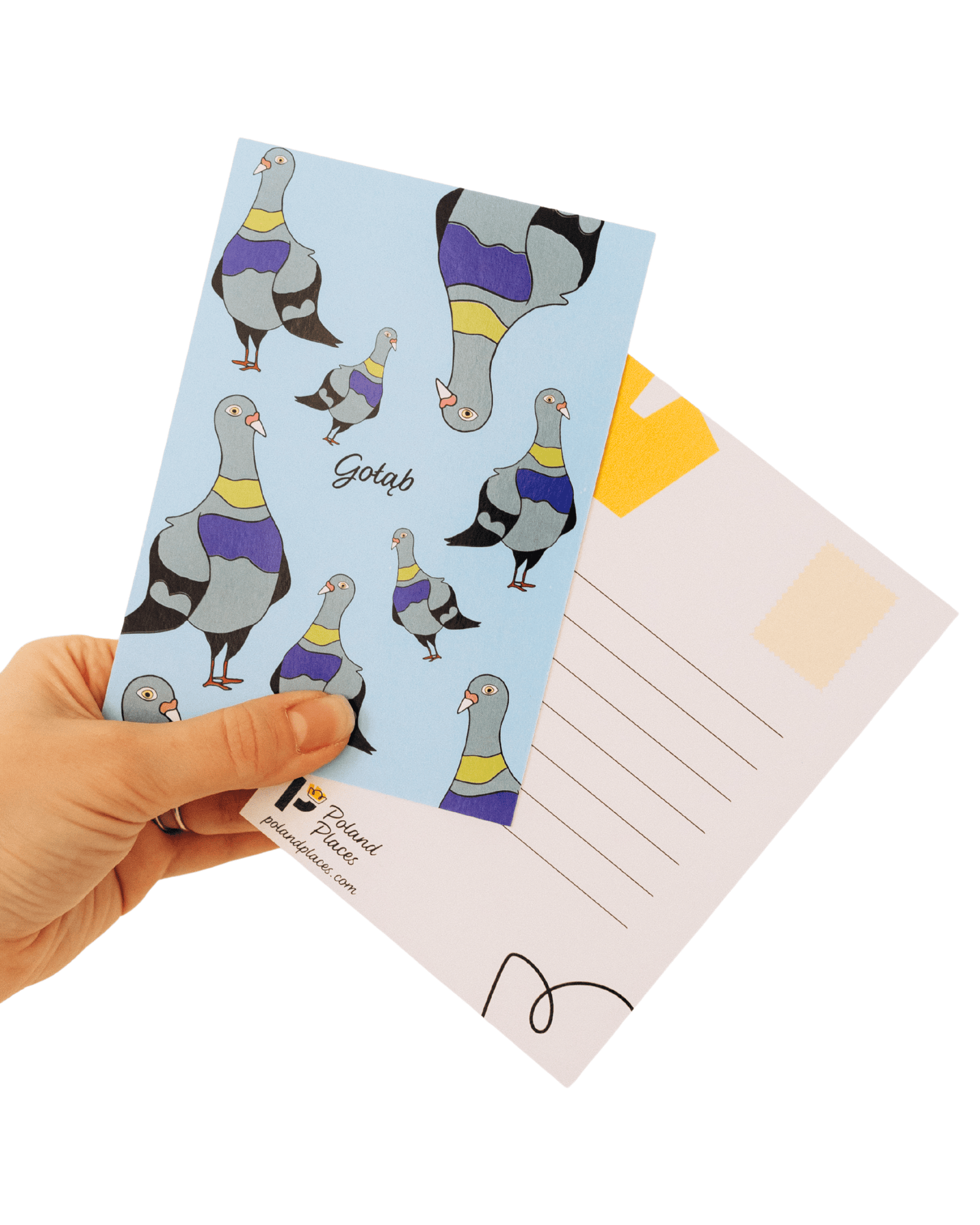 Pigeon Postcard